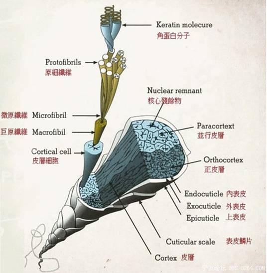 美国军科50年无法绕过的"纯羊毛"