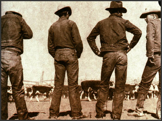 我是牛仔,曾制霸大海!多少次梦里升起船帆! - 龙牙产品中心 - 龙牙战