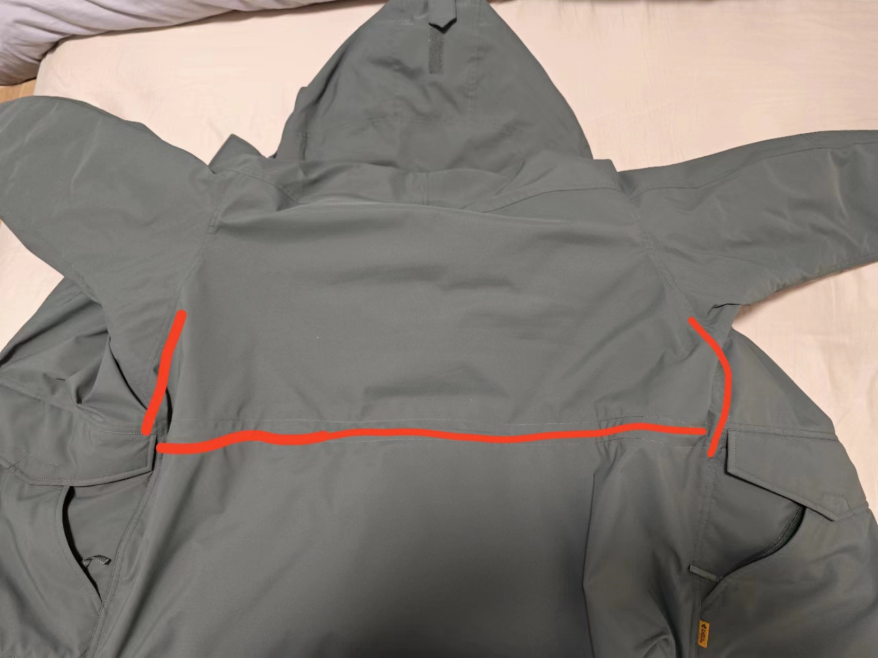 羽绒分布明显少的地方