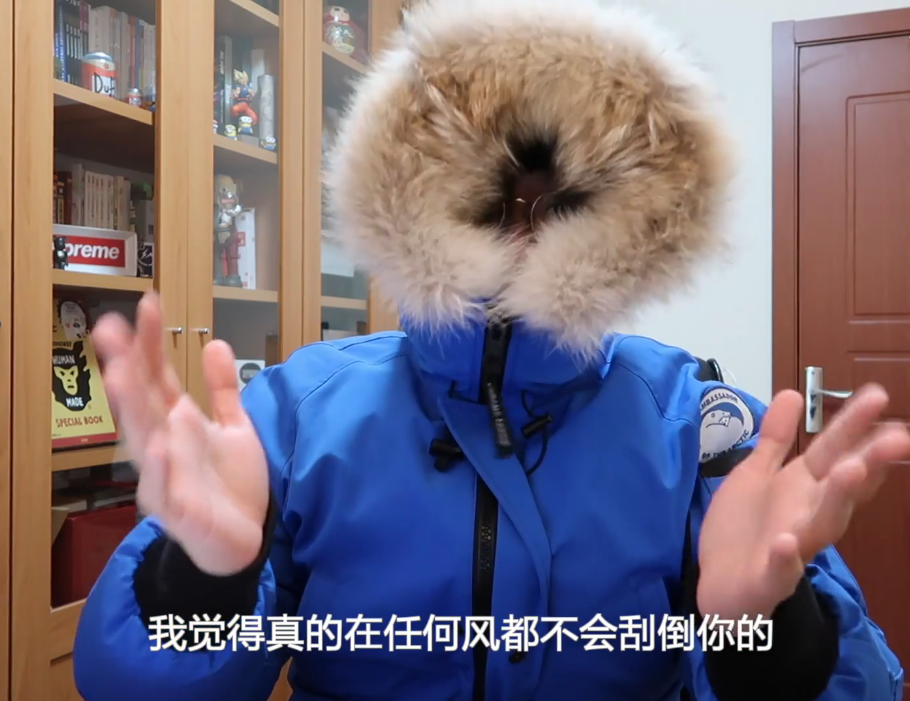 大鹅1.png