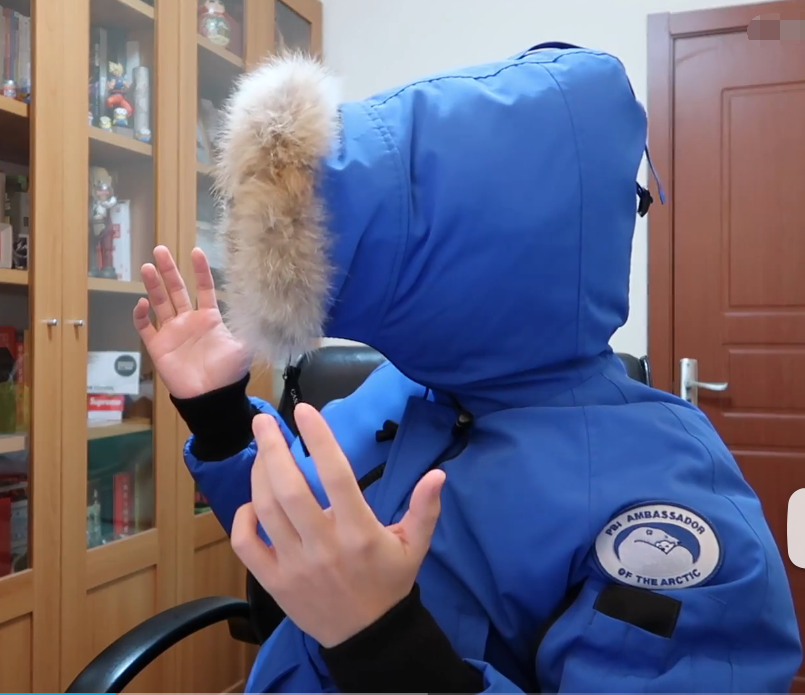 大鹅2.png